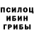Галлюциногенные грибы Psilocybine cubensis Master Jous