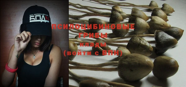 гашик Верхнеуральск